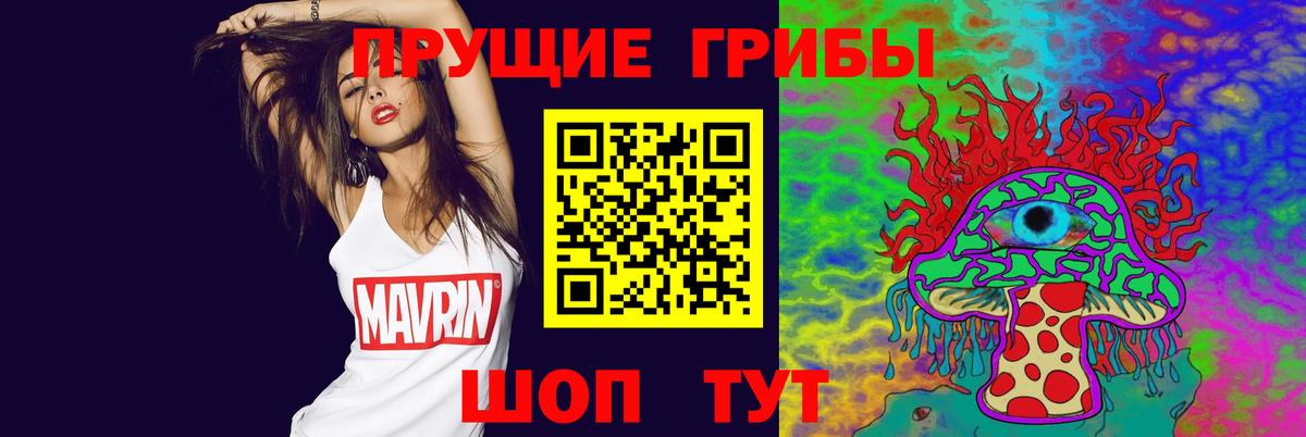 Галлюциногенные грибы GOLDEN TEACHER Каменск-Шахтинский